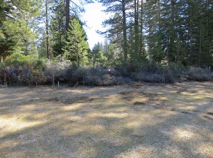 533 Dinsmore Drive, Lake Almanor, CA 00000 Photo