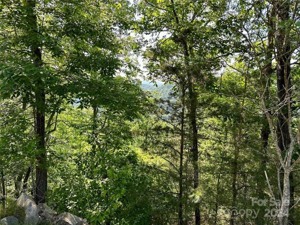 387 Wild River Run, Marshall, NC 28753