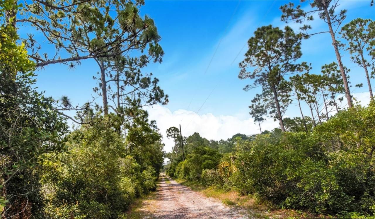 12510 Lake Hatchineha Road, Haines City, FL 33844 Photo