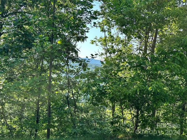 385 Wild River Run, Marshall, NC 28753