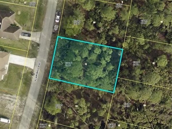 525 Flamingo AVE S, LEHIGH ACRES, FL 33974