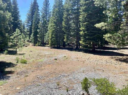 126 Blue Fox Drive, Lake Almanor, CA 96137 Photo