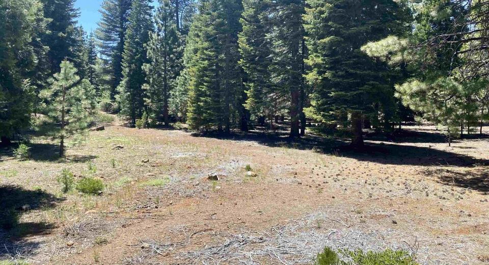 126 Blue Fox Drive, Lake Almanor, CA 96137 Photo
