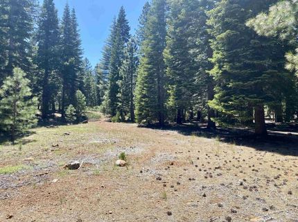 126 Blue Fox Drive, Lake Almanor, CA 96137 Photo