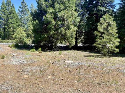 126 Blue Fox Drive, Lake Almanor, CA 96137 Photo