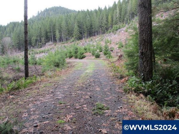 000 Quartzville Rd, Sweet Home, OR 97386