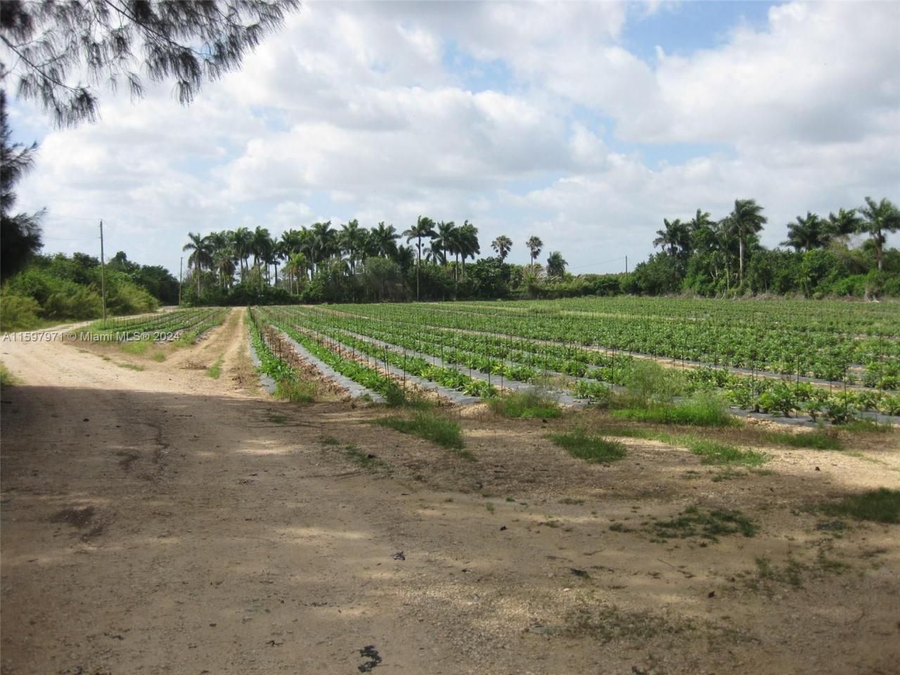 19922 SW 304th Street, Homestead, FL 33030 Photo