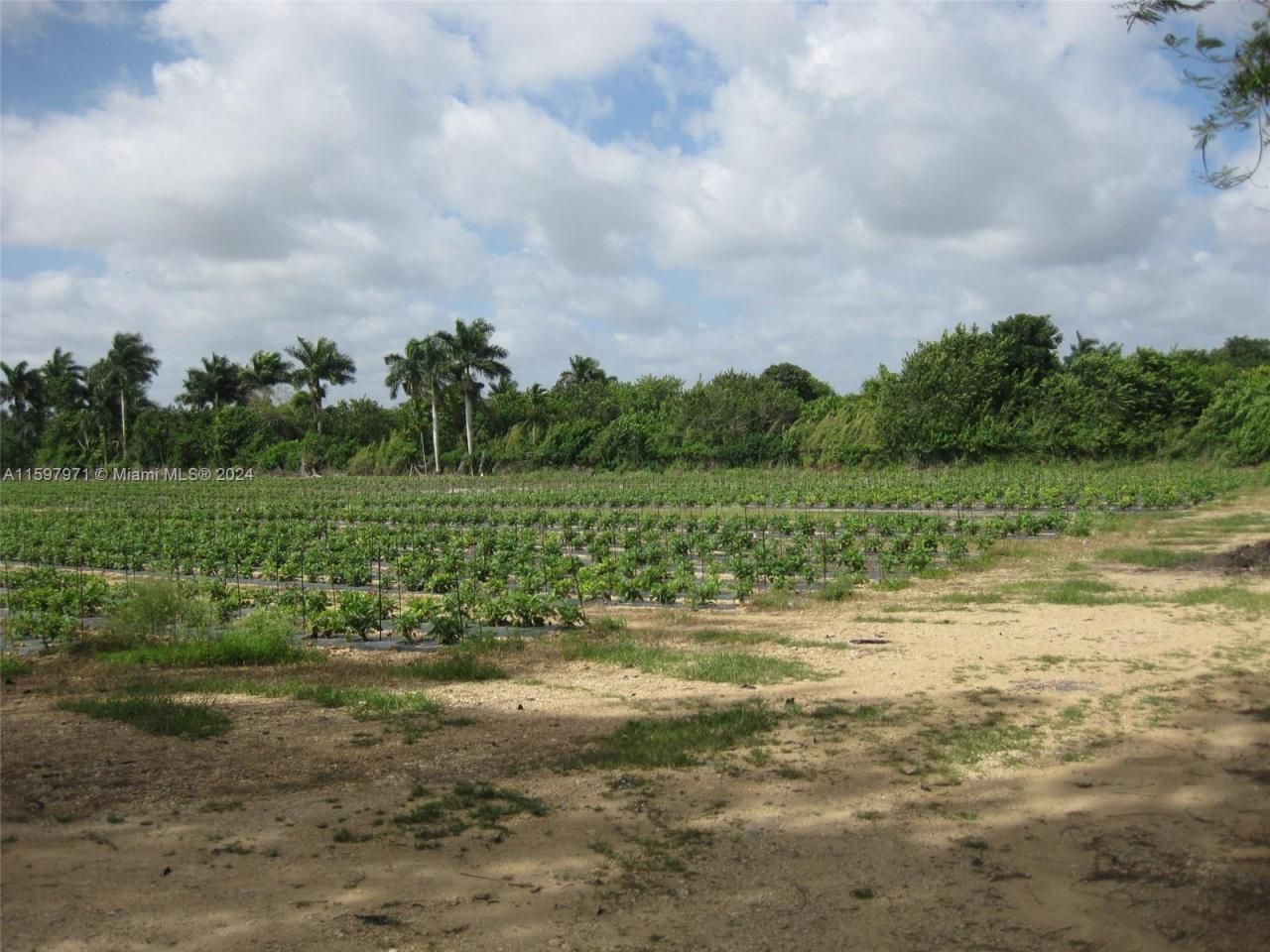 19922 SW 304th Street, Homestead, FL 33030 Photo