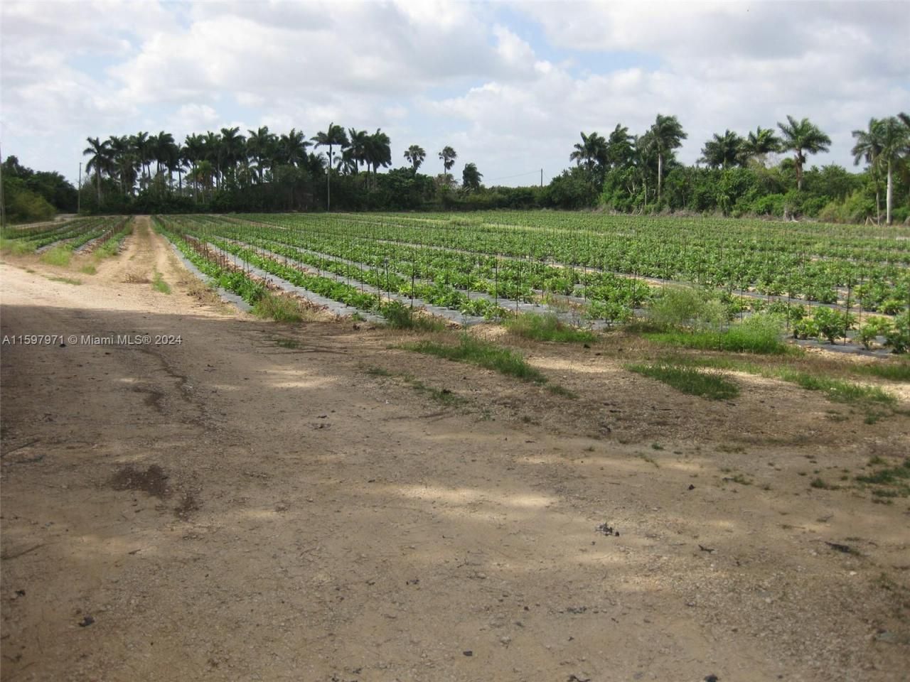 19922 SW 304th Street, Homestead, FL 33030 Photo