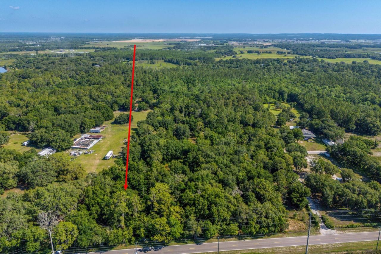 30647 Elam Road, Wesley Chapel, FL 33545 Photo