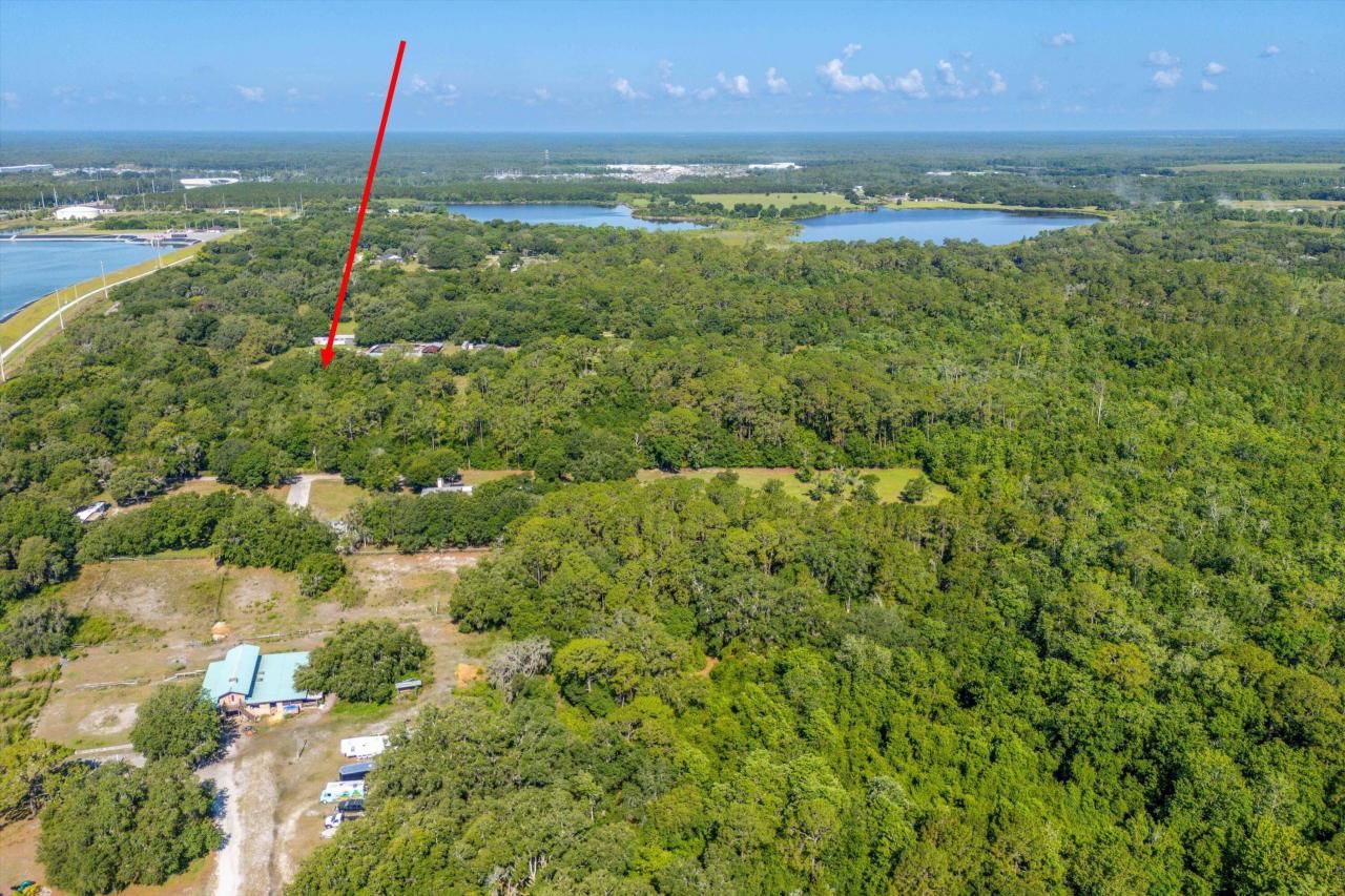 30647 Elam Road, Wesley Chapel, FL 33545 Photo