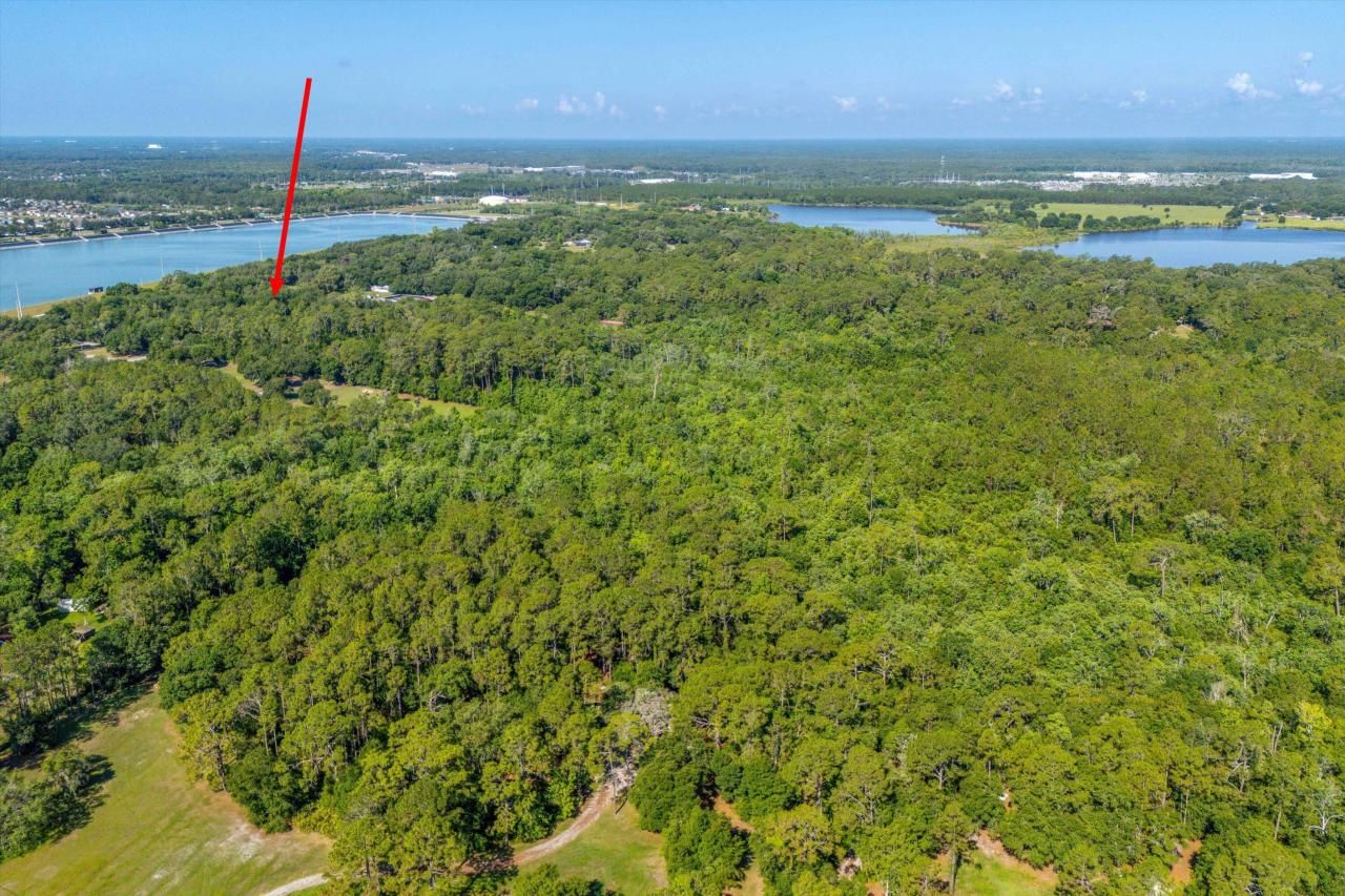 30647 Elam Road, Wesley Chapel, FL 33545 Photo