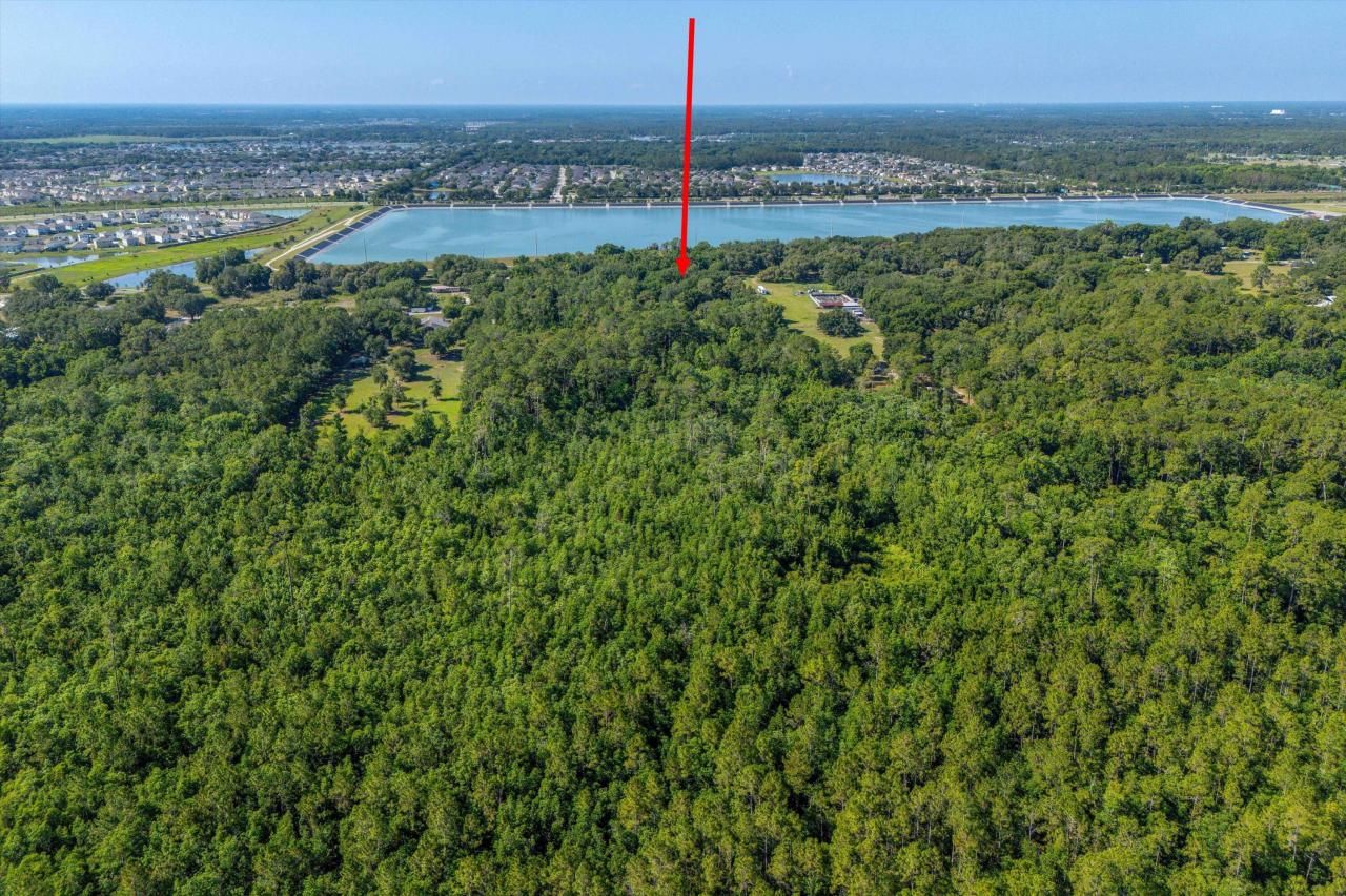 30647 Elam Road, Wesley Chapel, FL 33545 Photo