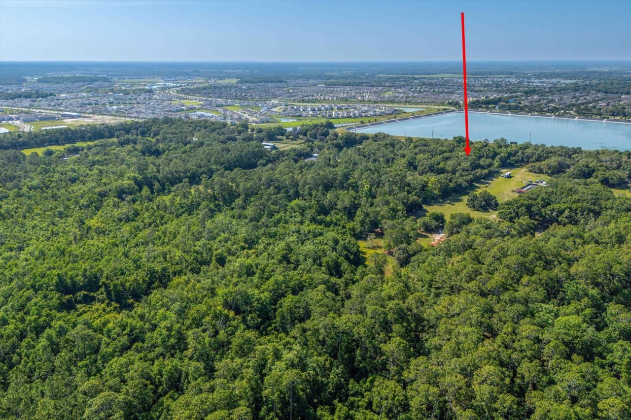 30647 Elam Road, Wesley Chapel, FL 33545 Photo