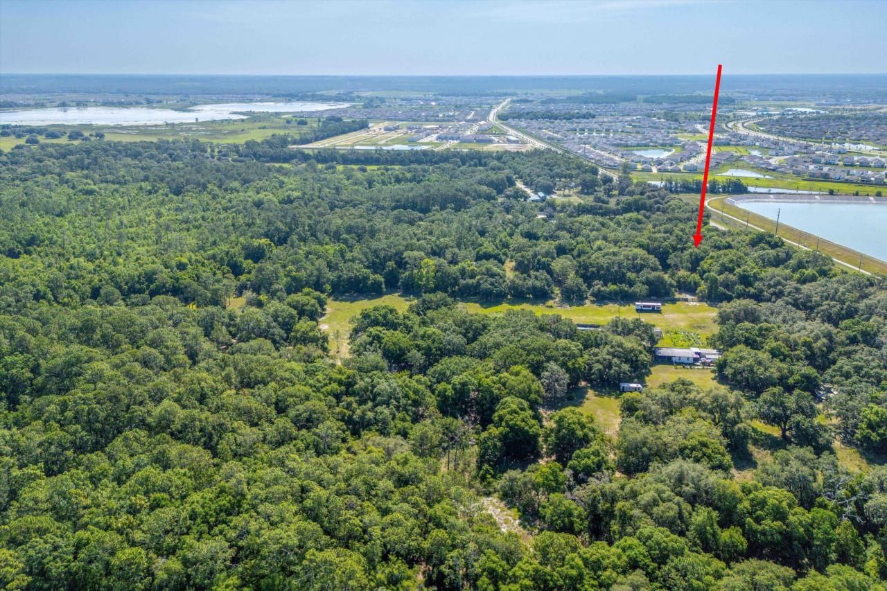 30647 Elam Road, Wesley Chapel, FL 33545 Photo