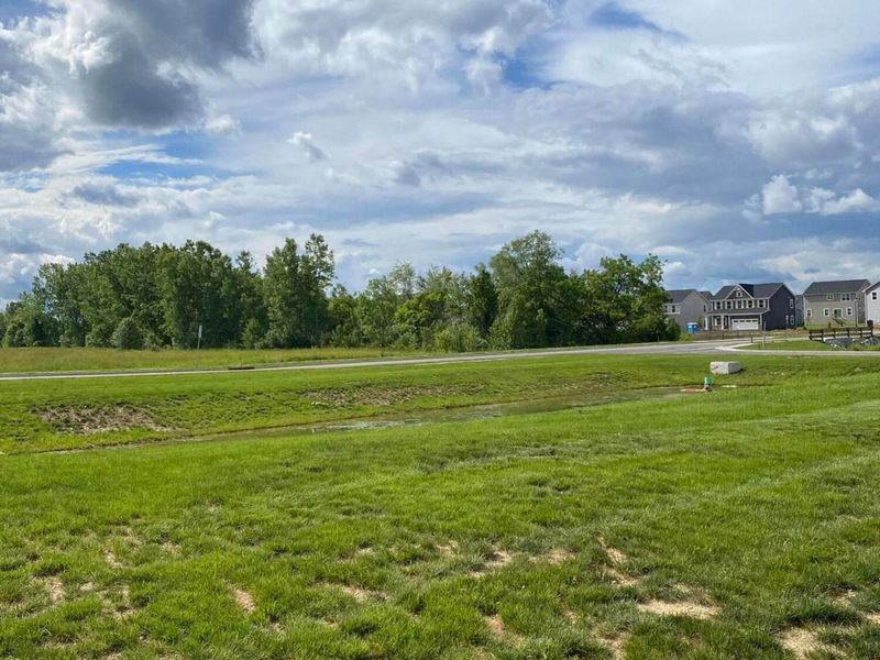 8260 Refugee Road, Pickerington, OH 43147 Photo 4