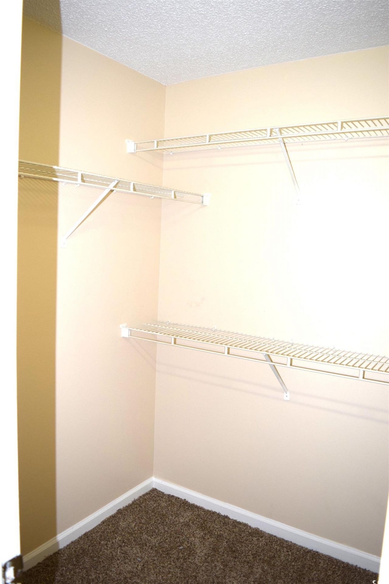 3792 Hitchcock Way Photo 20