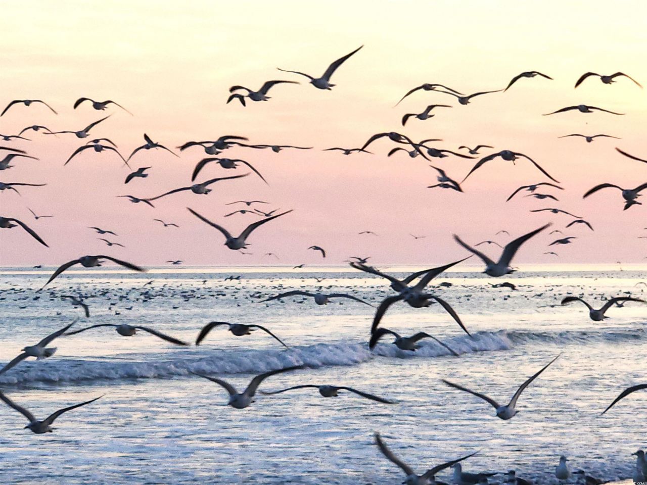 3792 Hitchcock Way Photo 29