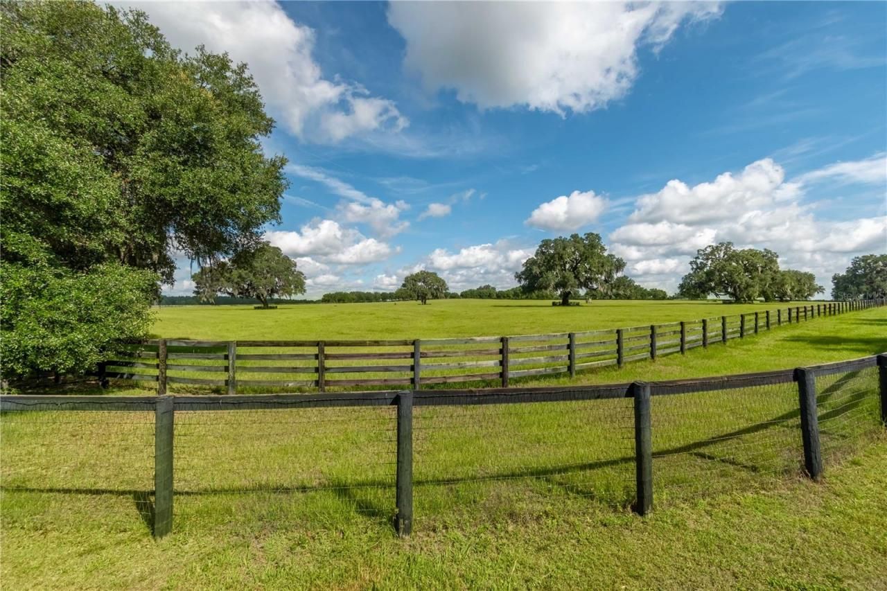 12520 NW 160th Street, Reddick, FL 32686 Photo