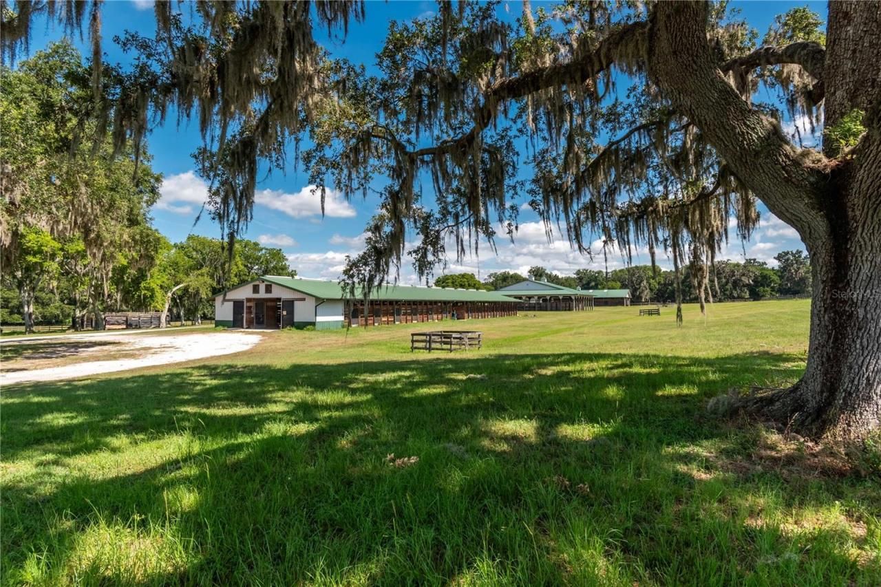 12520 NW 160th Street, Reddick, FL 32686 Photo