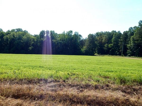 519 247 Country Road, Bruce, MS 38915