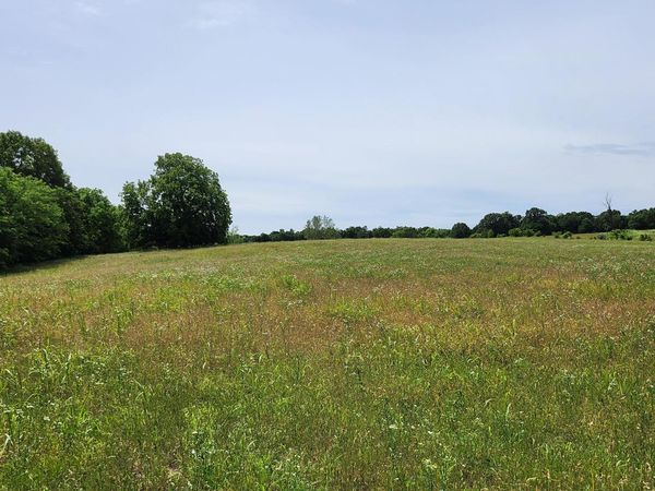 Lot 10 N Farm Road 61, Walnut Grove, MO 65770