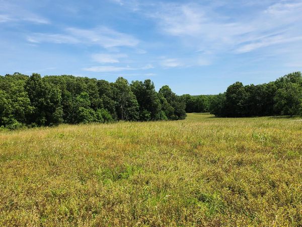 Lot 9 N Farm Road 61, Walnut Grove, MO 65770