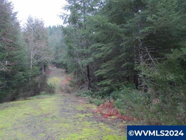 000 Rocky Top Rd, Sweet Home, OR 97386