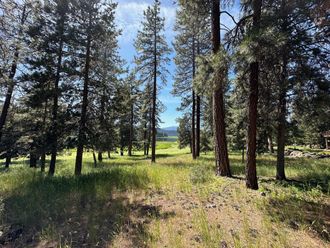 Merganser Road Klamath Falls, OR 97601