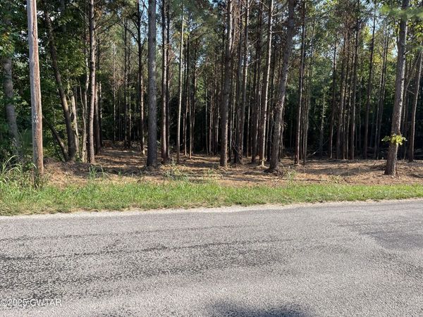 00 Cane Creek Road, Lexington, TN 38351