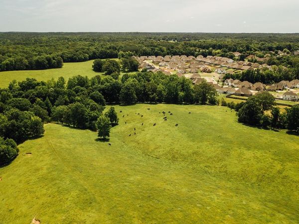 492 County Road 101, Oxford, MS 38655