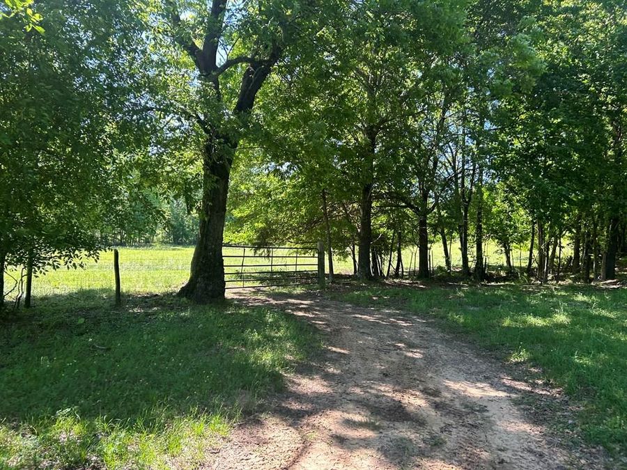Property Image 50