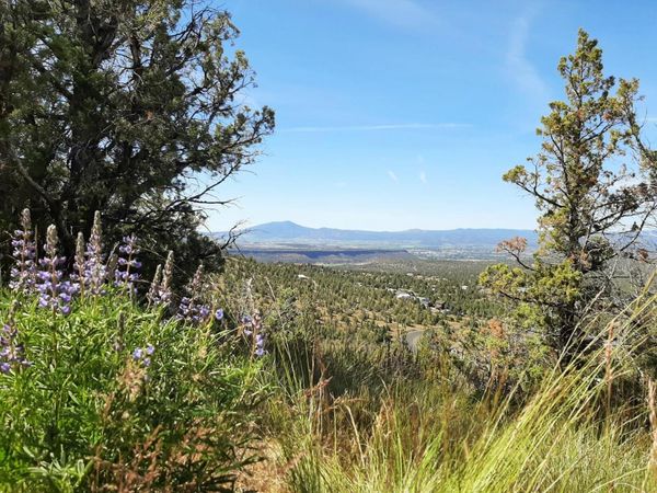 SE Night Hawk Court, Prineville, OR 97754