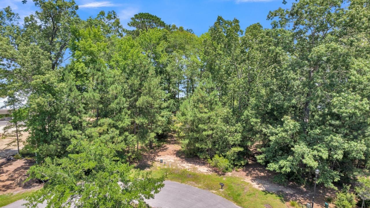 4368 Lady Banks Lane Photo 24