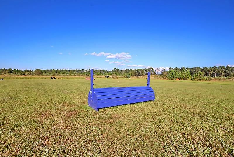 4368 Lady Banks Lane Photo 68