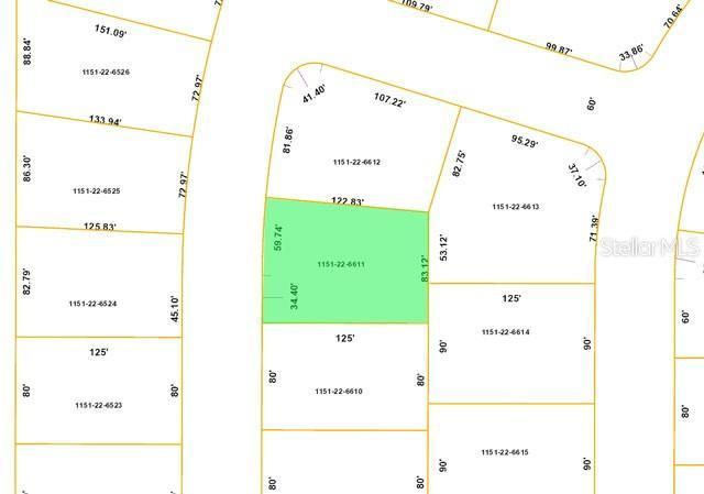 Blueleaf Drive, North Port, FL 34288 Photo