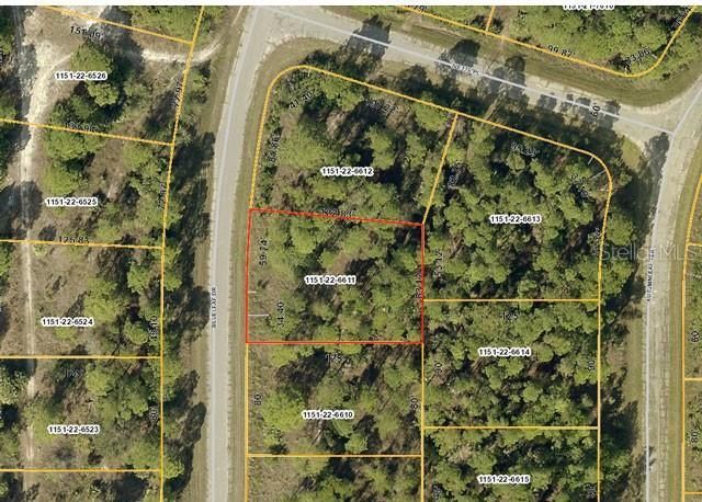 Blueleaf Drive, North Port, FL 34288 Photo