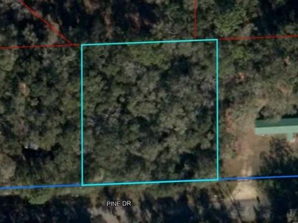 285 PINE DRIVE, BRONSON, FL 32621