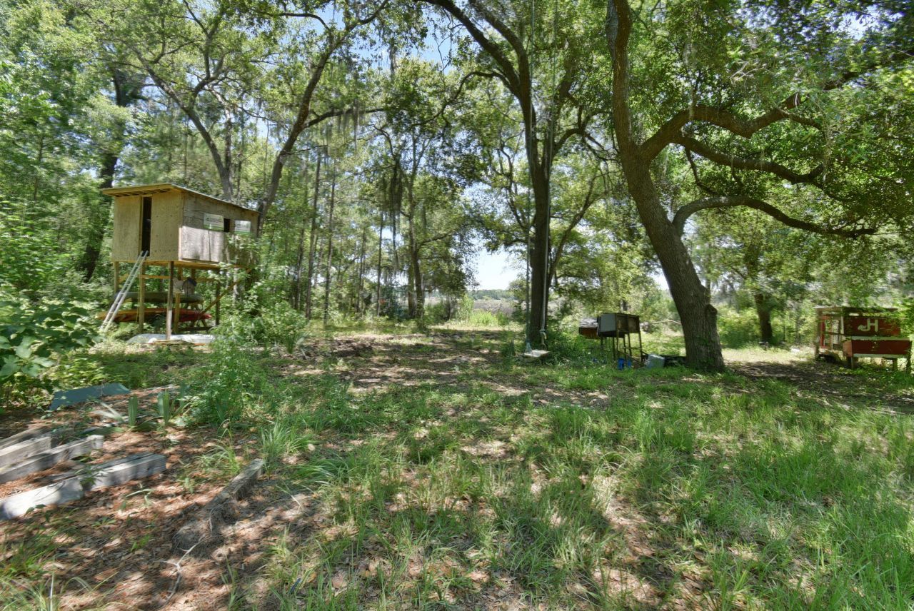 301 Old Pocotaligo Road Photo 15