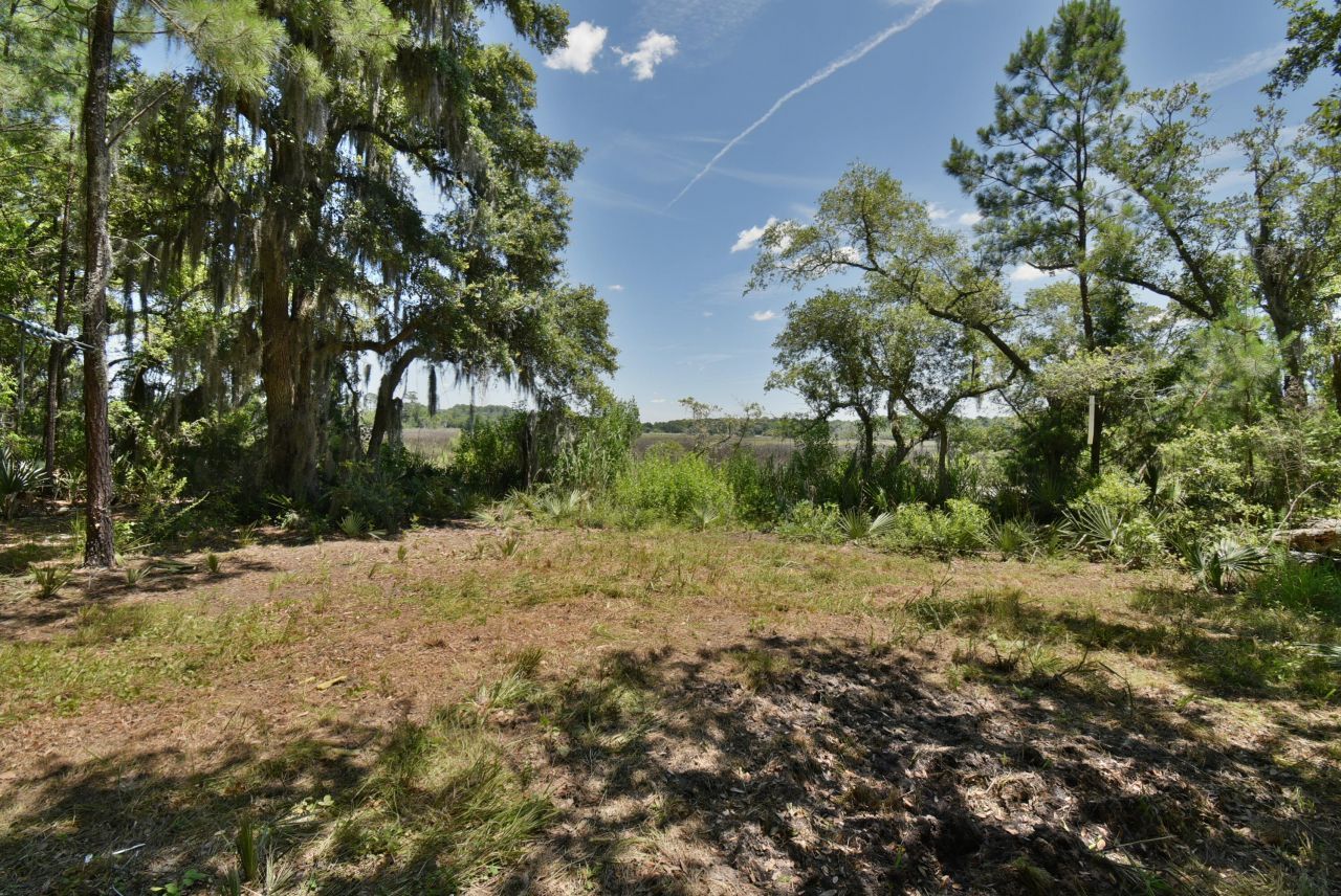 301 Old Pocotaligo Road Photo 16