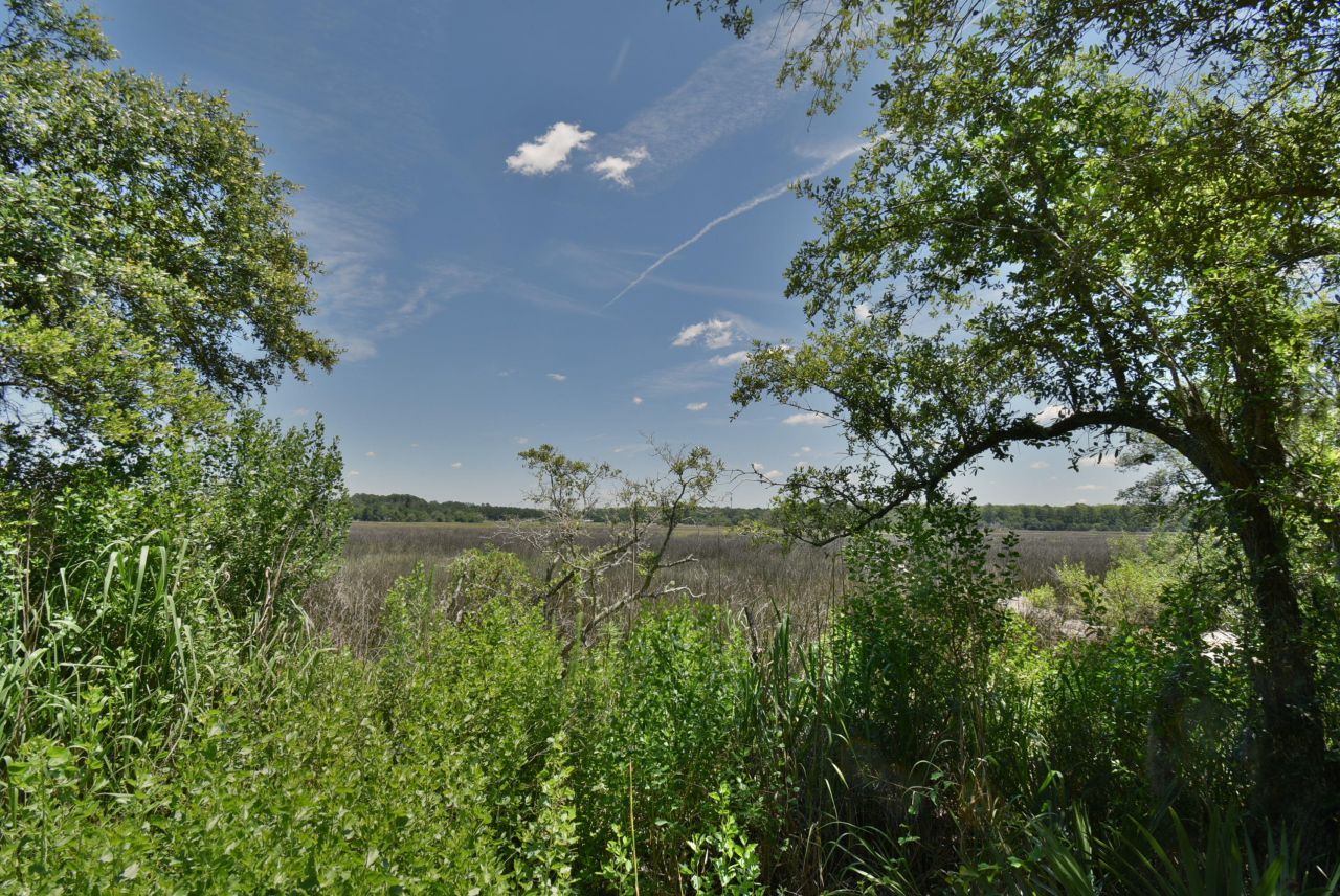 301 Old Pocotaligo Road Photo 17