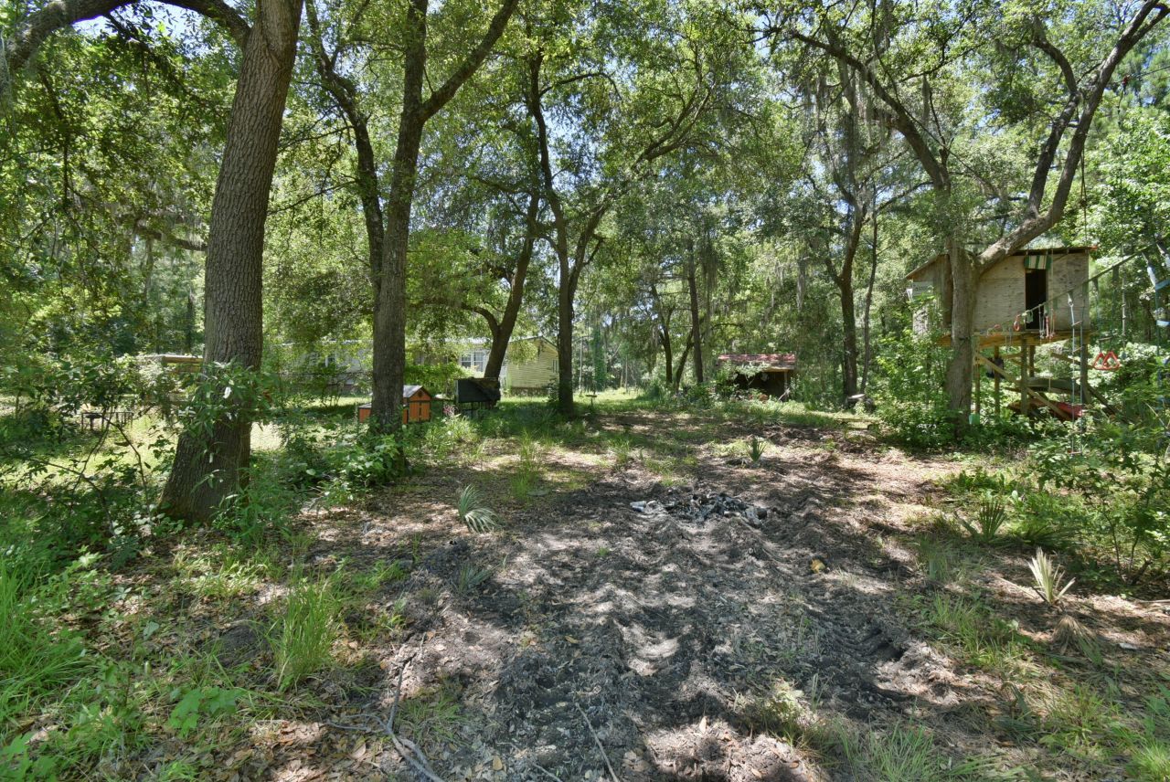 301 Old Pocotaligo Road Photo 18