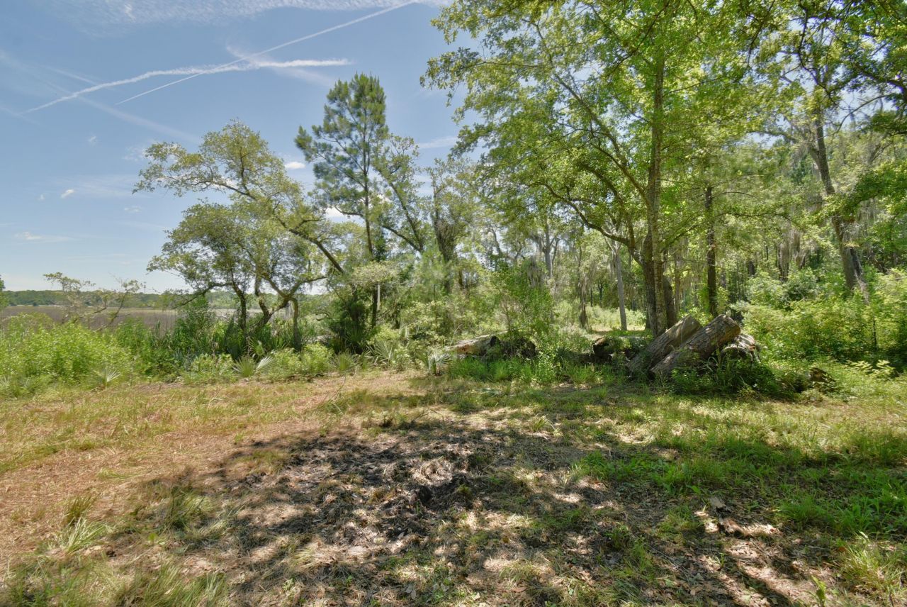 301 Old Pocotaligo Road Photo 19
