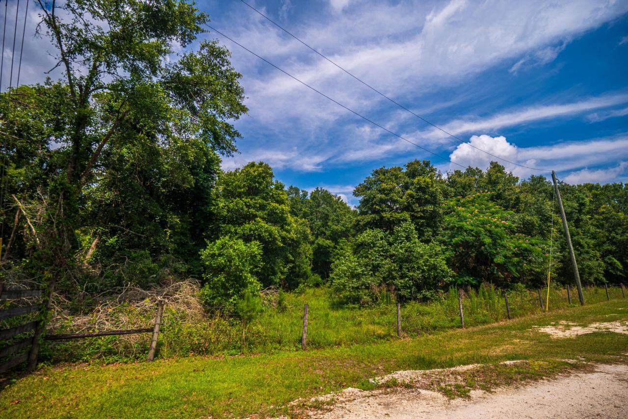 Tbd County Rd. 252, Wellborn, FL 32094 Photo