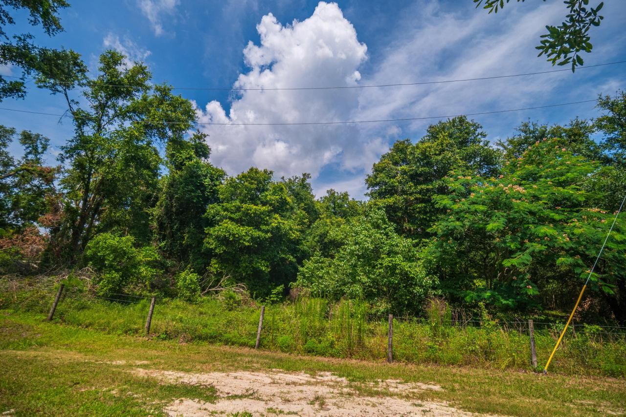 Tbd County Rd. 252, Wellborn, FL 32094 Photo