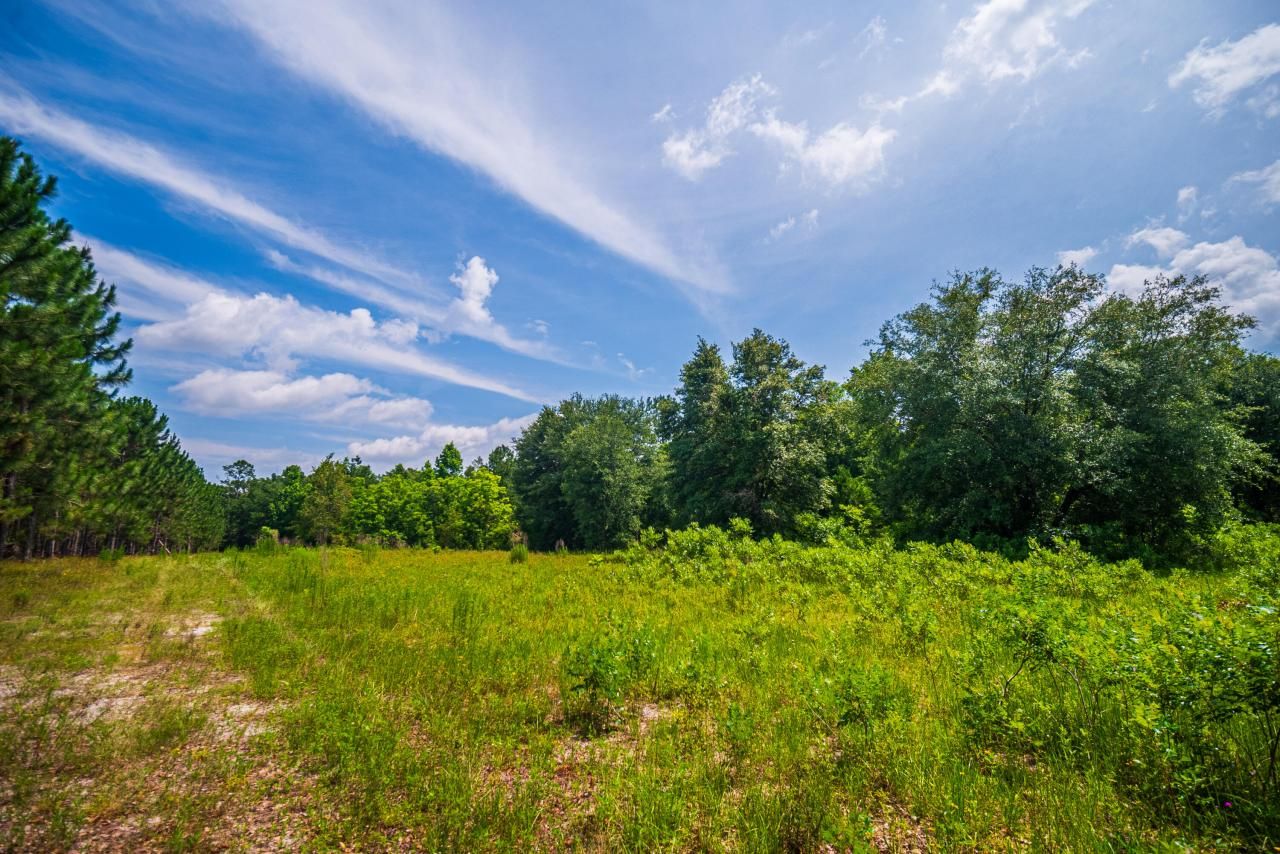 Tbd County Rd. 252, Wellborn, FL 32094 Photo