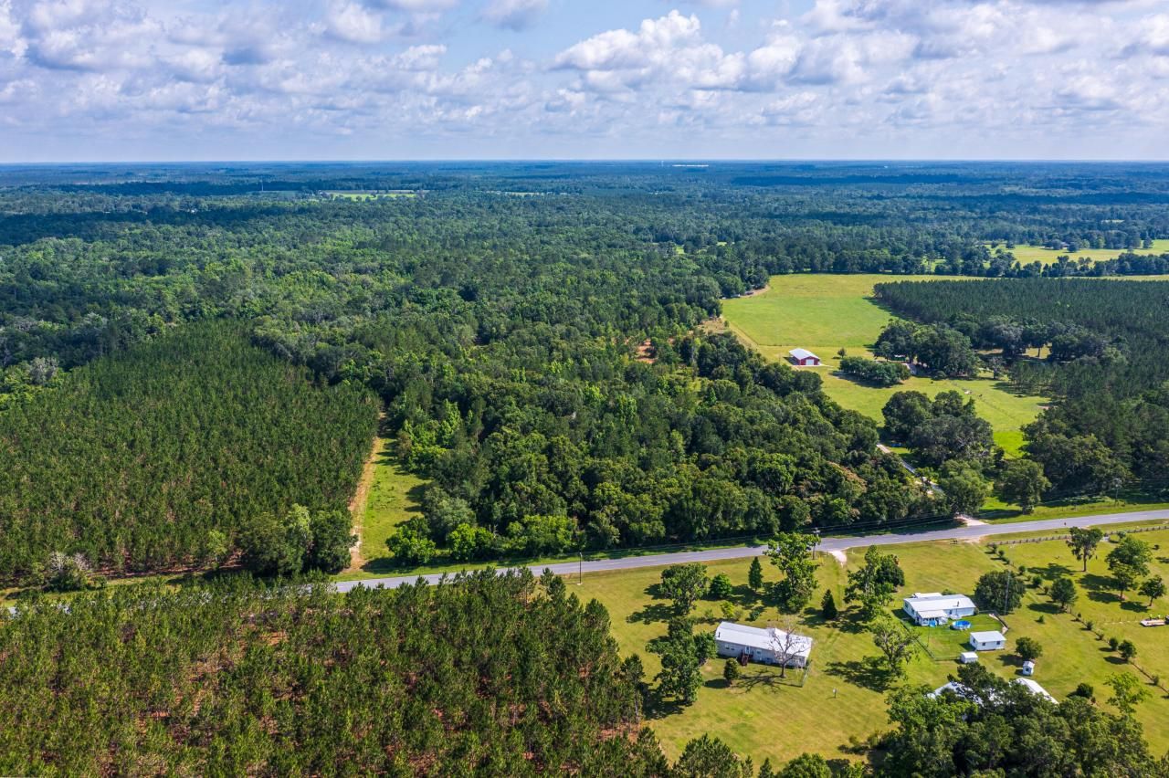 Tbd County Rd. 252, Wellborn, FL 32094 Photo