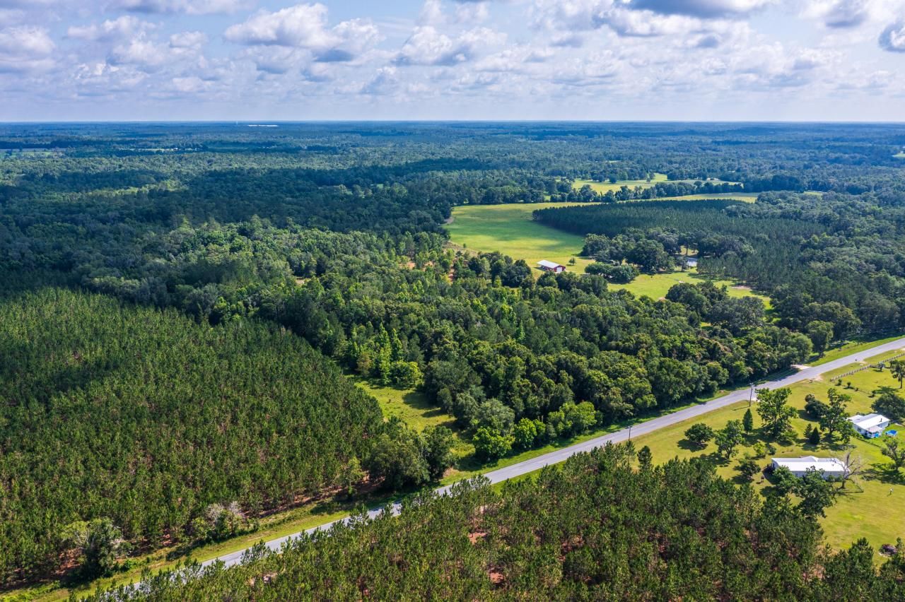 Tbd County Rd. 252, Wellborn, FL 32094 Photo