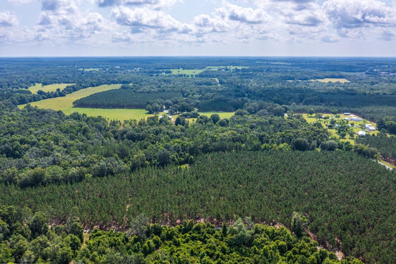 Tbd County Rd. 252, Wellborn, FL 32094 Photo