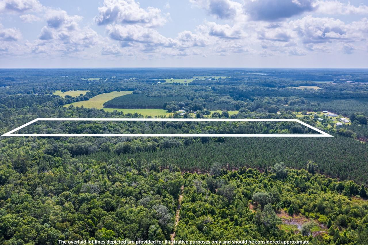 Tbd County Rd. 252, Wellborn, FL 32094 Photo